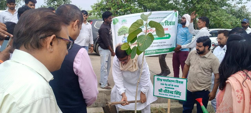 Tree plantation by Yamuna Expressway Industrial Development Authority